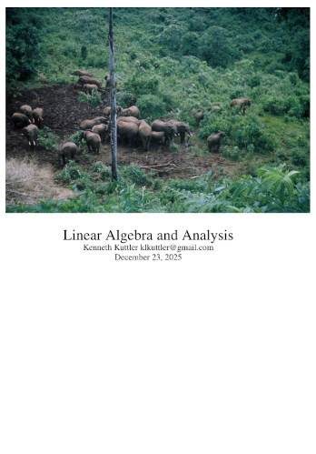 Linear Algebra and Analysis
